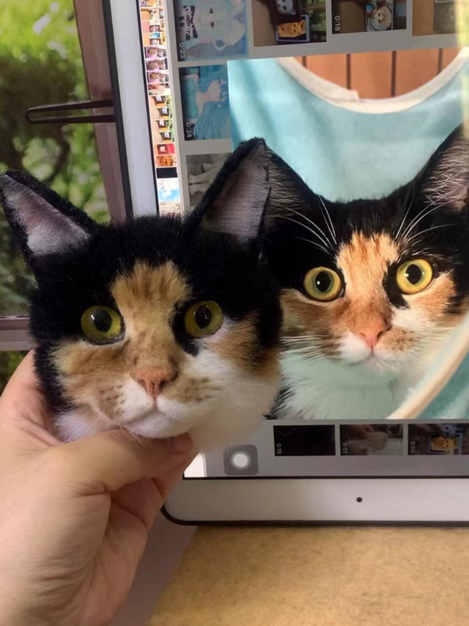 Custom Needle Felt 3D Pet Portrait | Cat Head | Transplant Short Hair