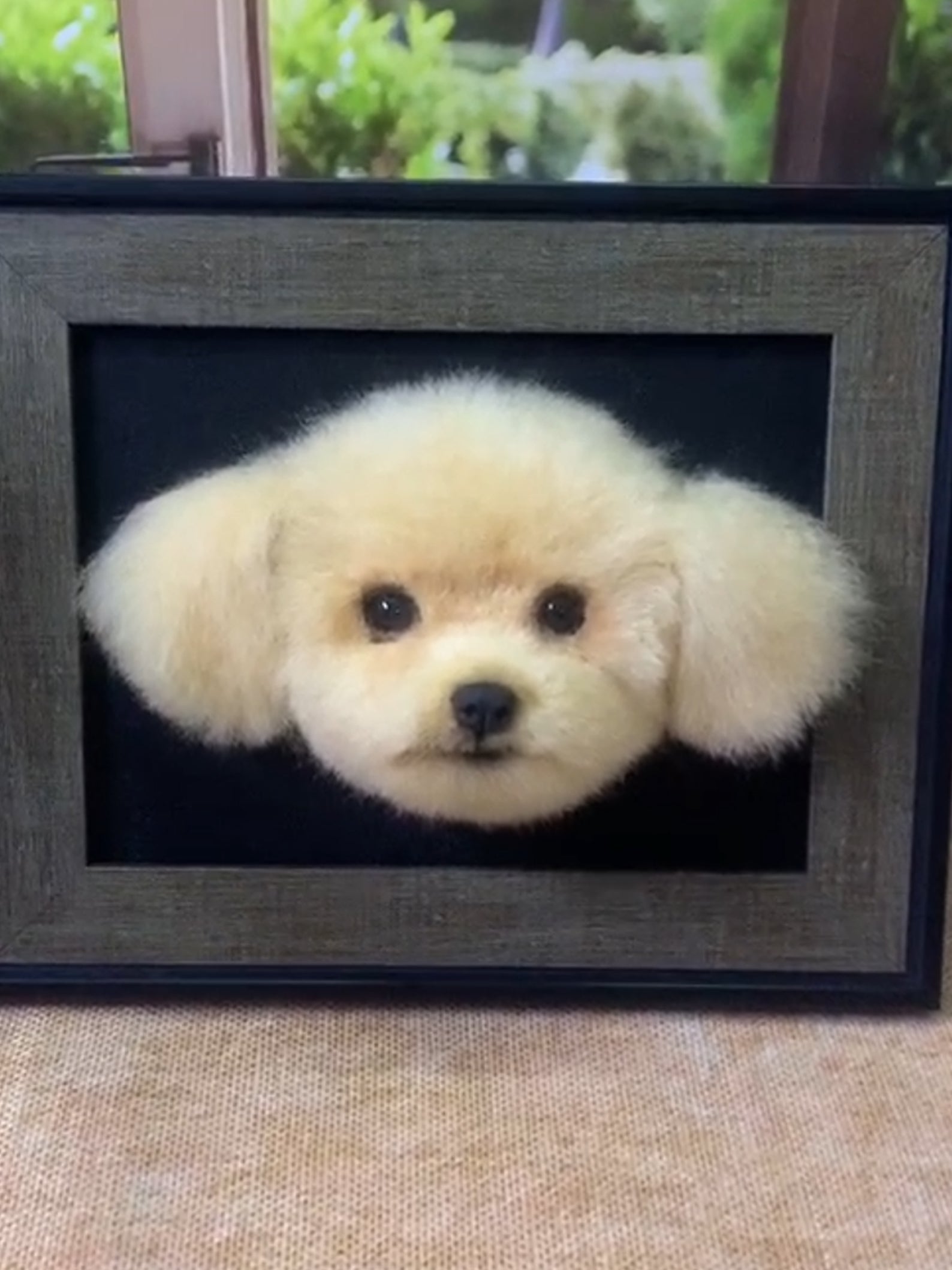 Custom Needle Felt 3D Pet Portrait | Dog Head | Transplant Short Hair